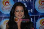 Celina Jaitley at Country Club New Year_s bash press meet in Country Club, Andheri on 30th Dec 2009 (4).JPG